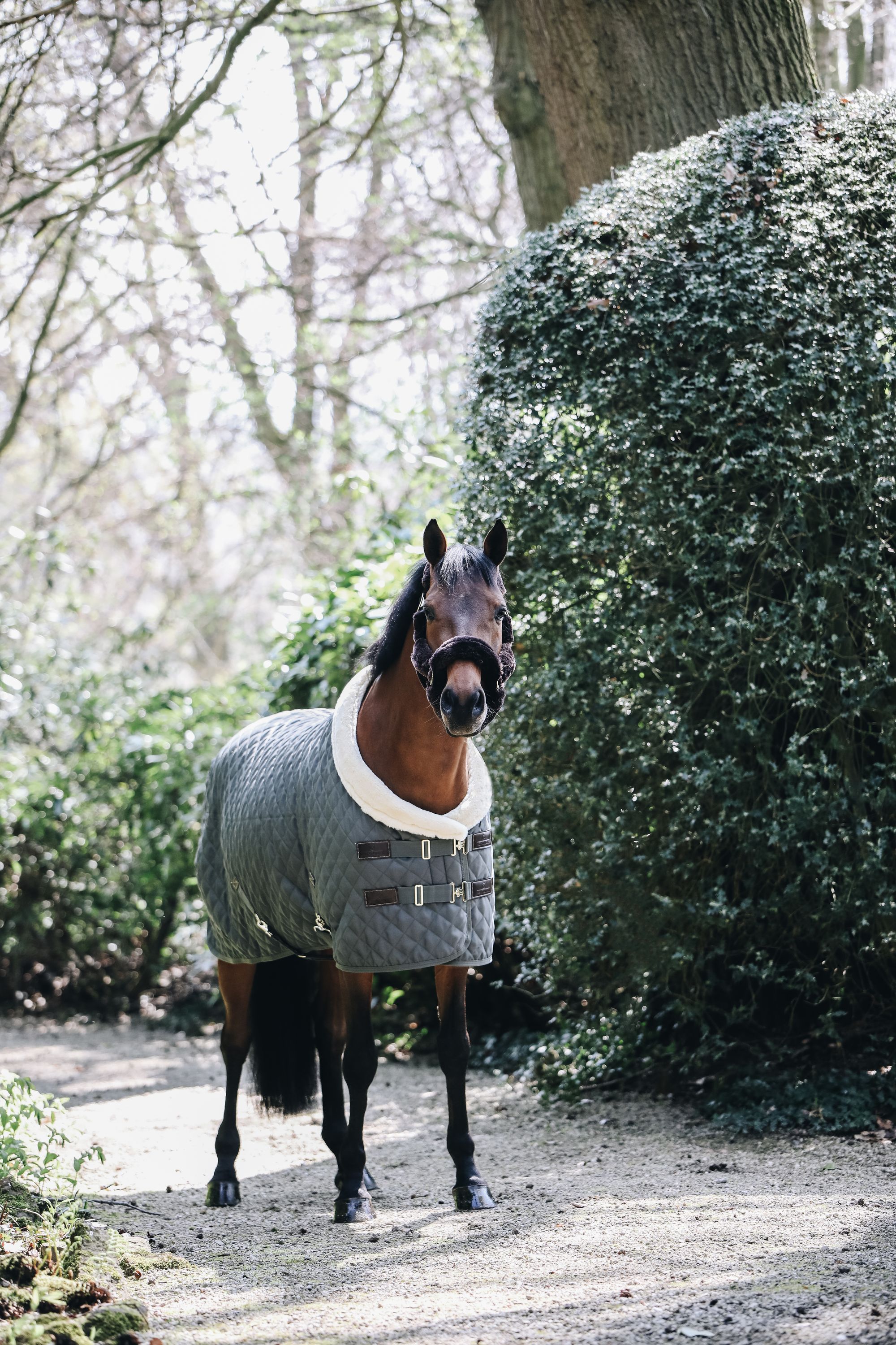 Turnierdecke 160g Show Rug