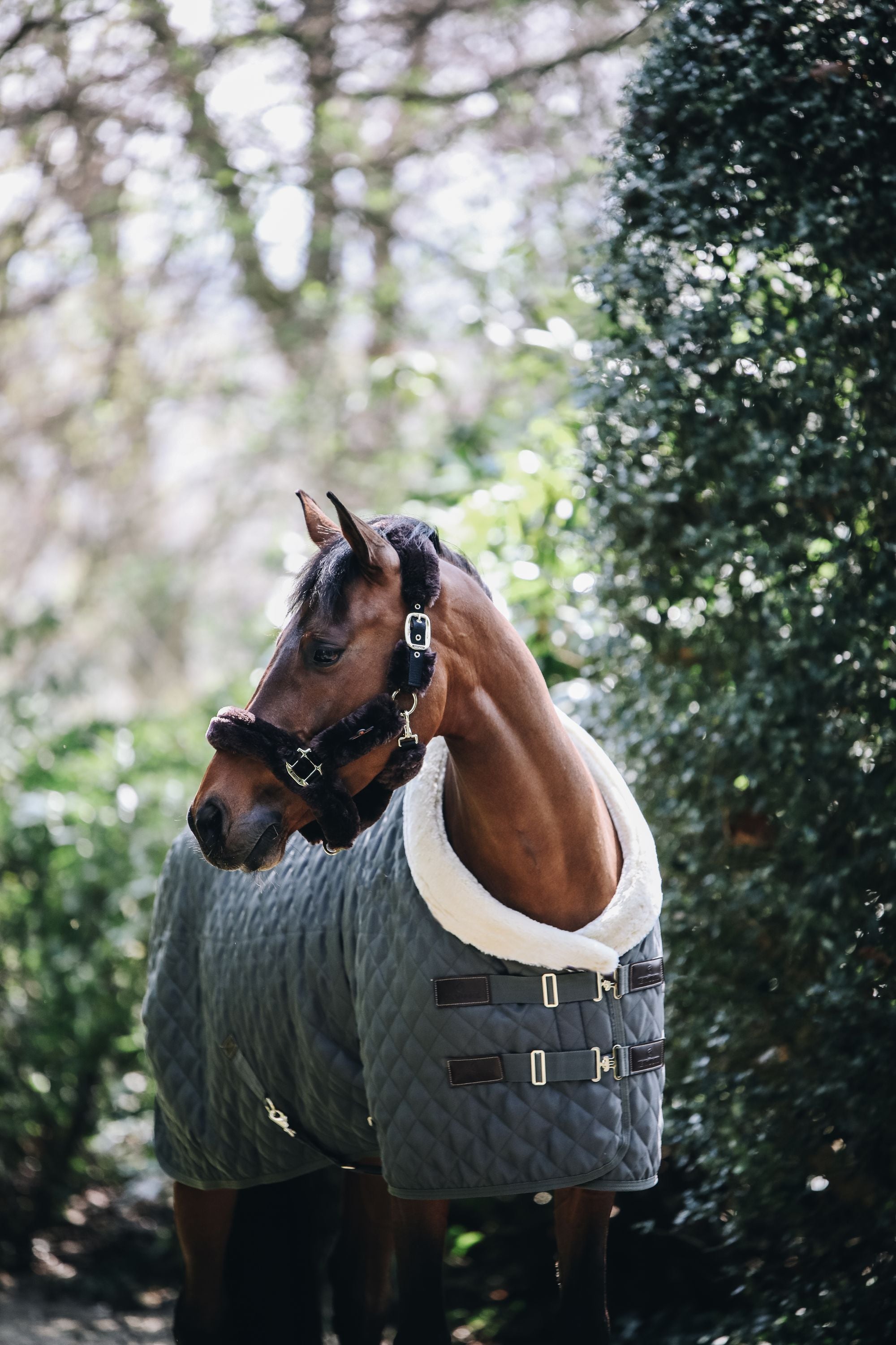 Turnierdecke 160g Show Rug