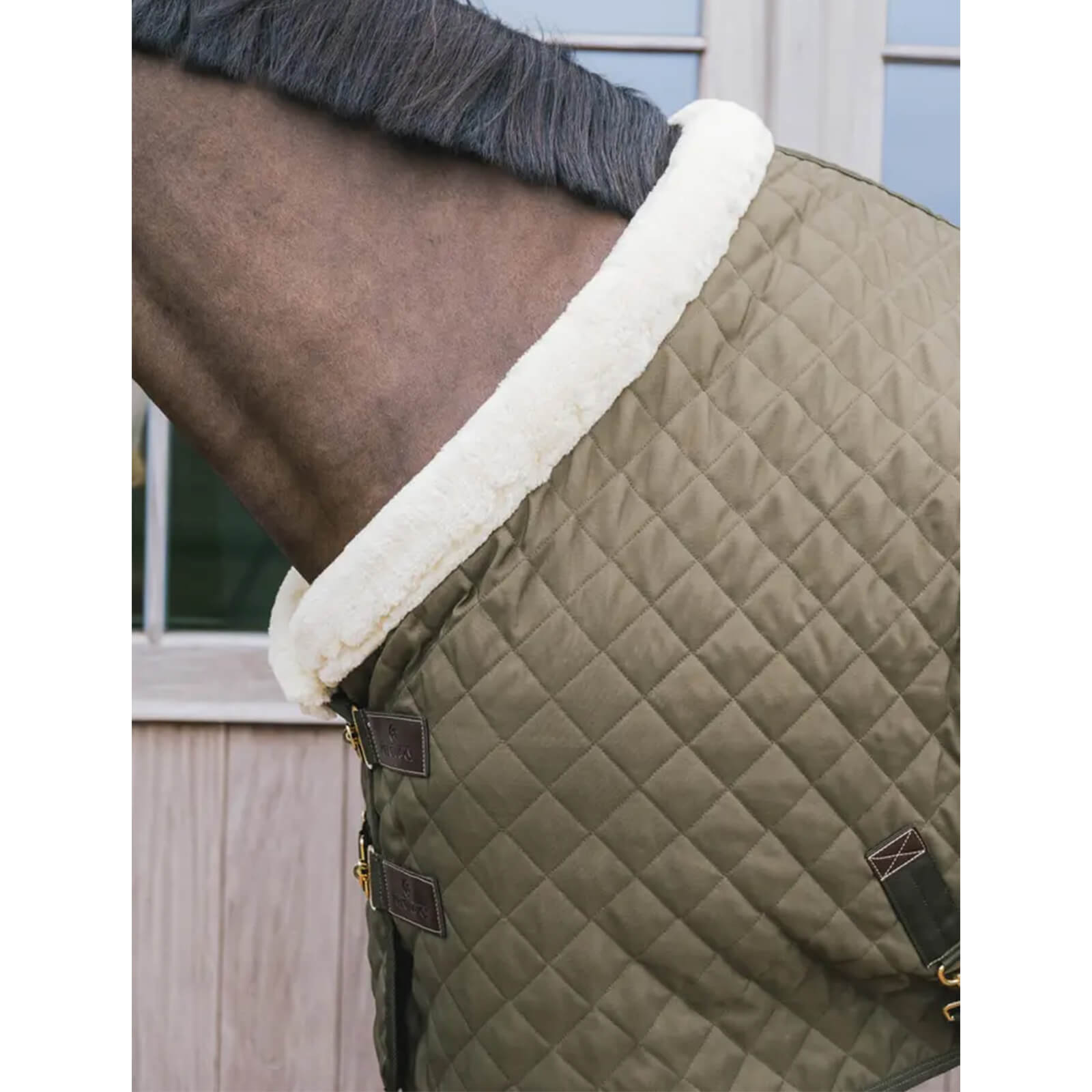 Turnierdecke 160g Show Rug
