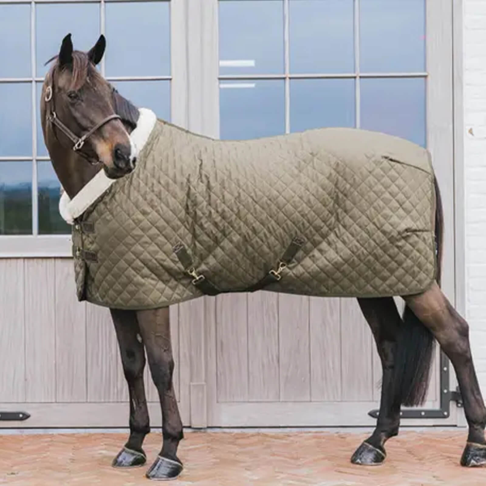 Turnierdecke 160g Show Rug