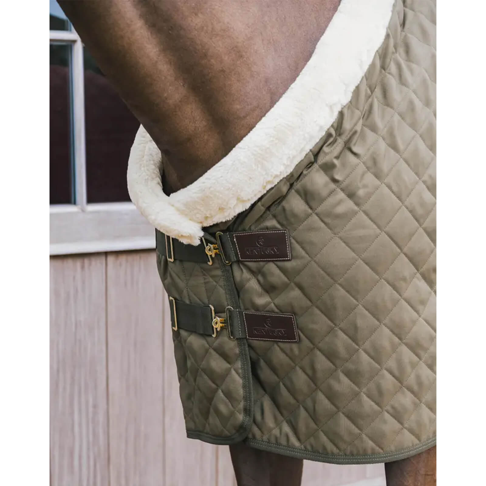 Turnierdecke 160g Show Rug