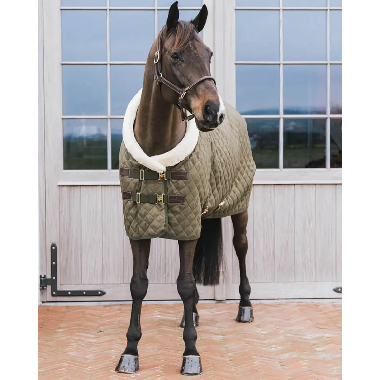 Turnierdecke 160g Show Rug