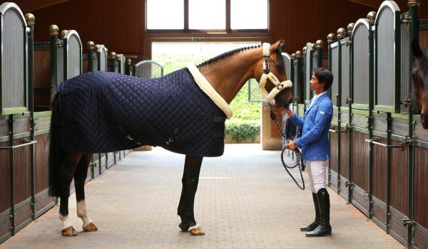 Turnierdecke 160g Show Rug