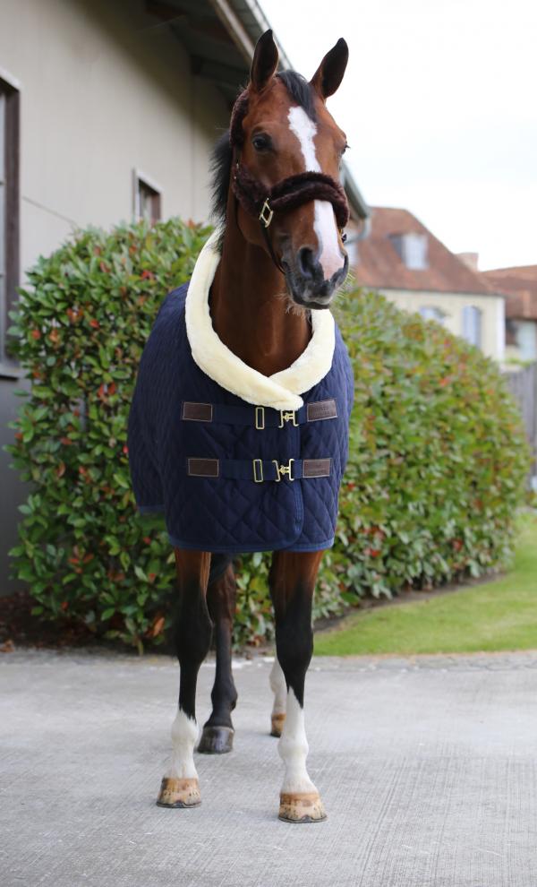 Turnierdecke 160g Show Rug