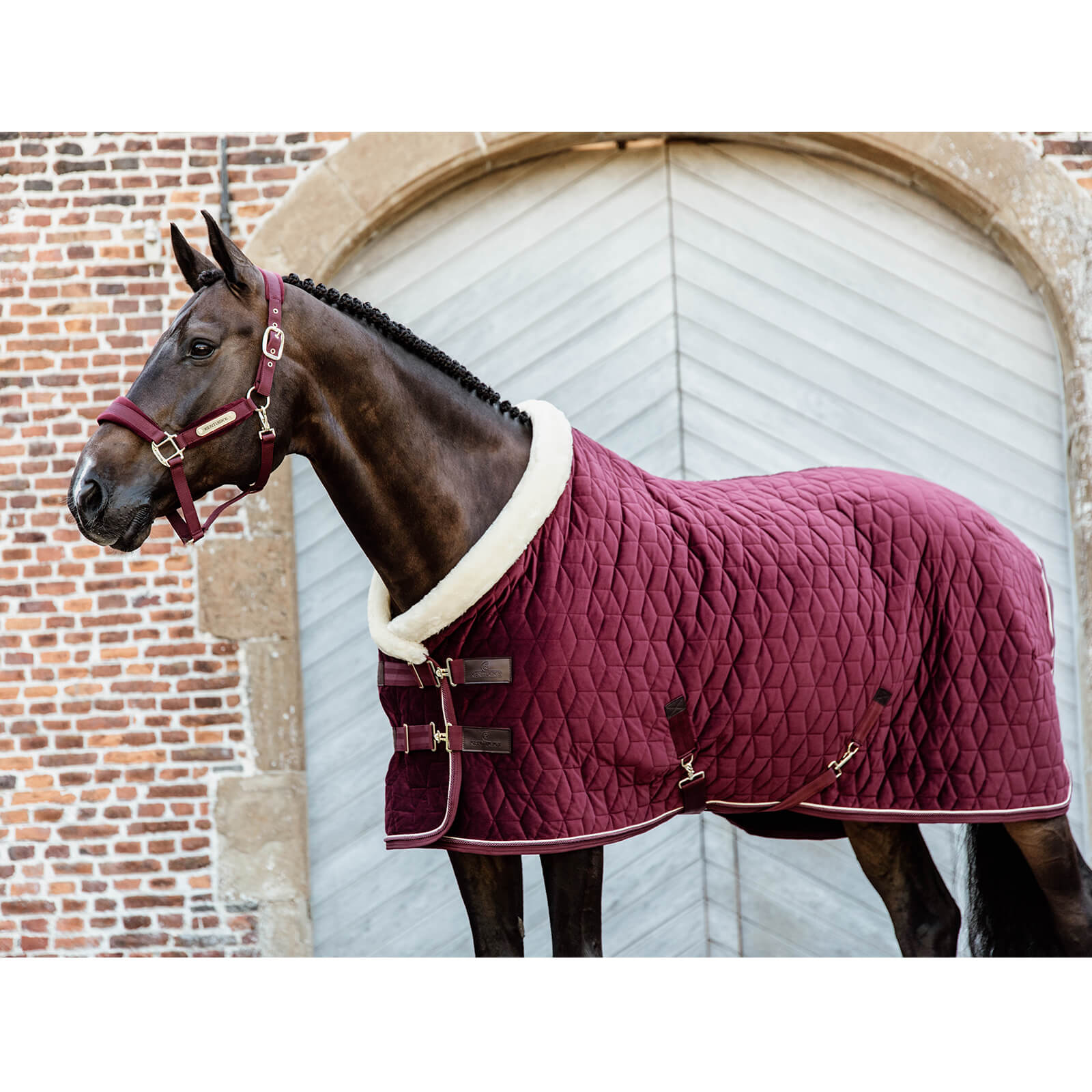 Turnierdecke 160g Show Rug Velvet Stalldecke