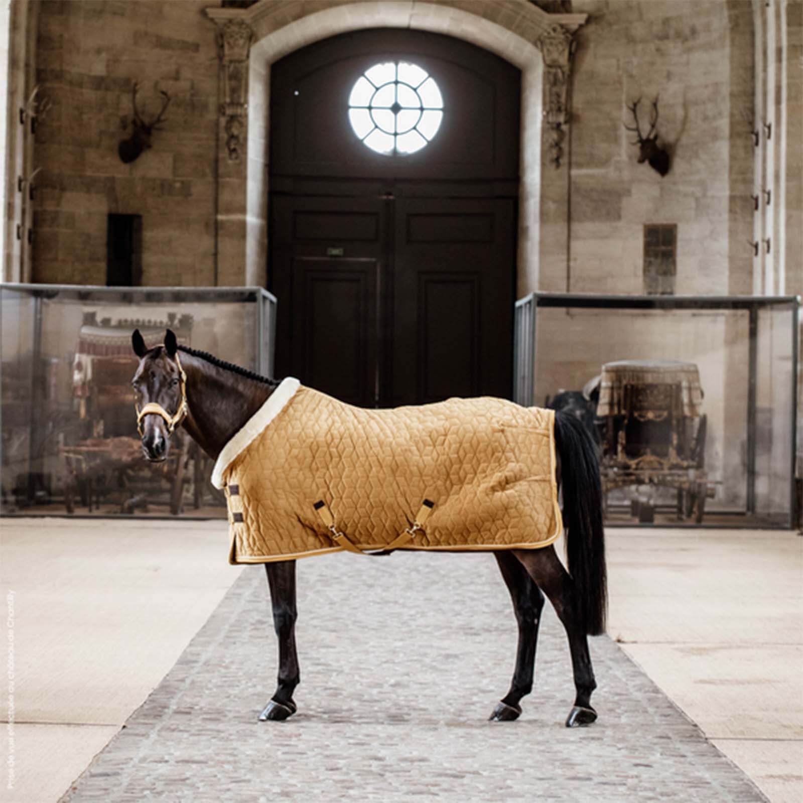 Turnierdecke 160g Show Rug Velvet Stalldecke