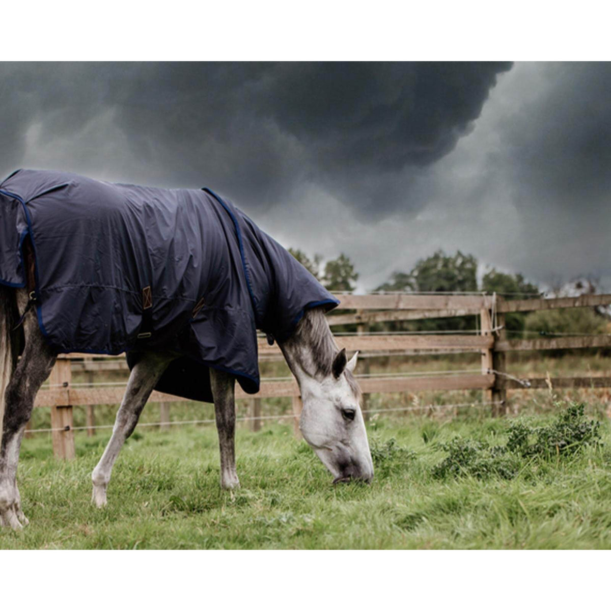 Kentucky Horsewear Outdoordecke 0g All Weather Hurricane Regendecke, Navy, Pferd trägt die Decke auf der Weide.