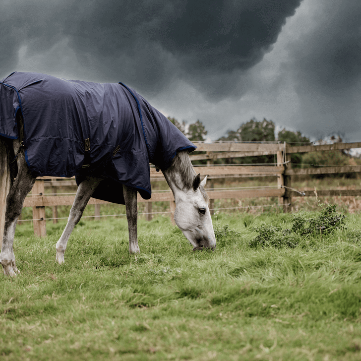Kentucky Horsewear Outdoordecke 50g All Weather Hurricane Weidedecke, Midsummer Blue, Pferd auf der Weide.
