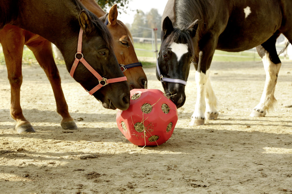 Heuball Pferde Spielzeug Futterspielball