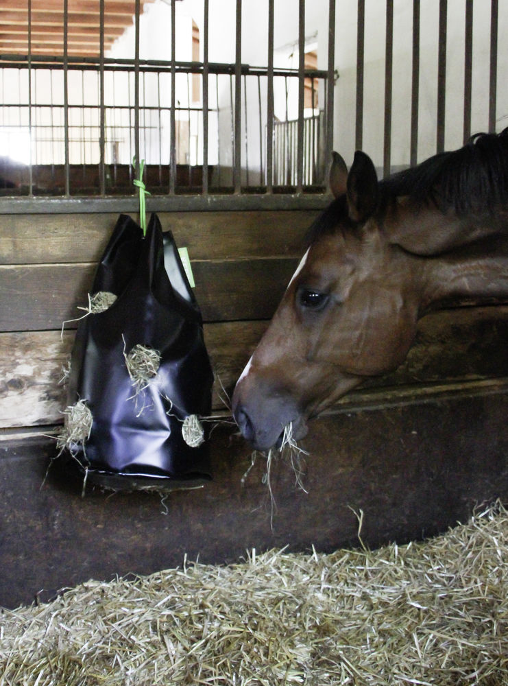 Hay Bag