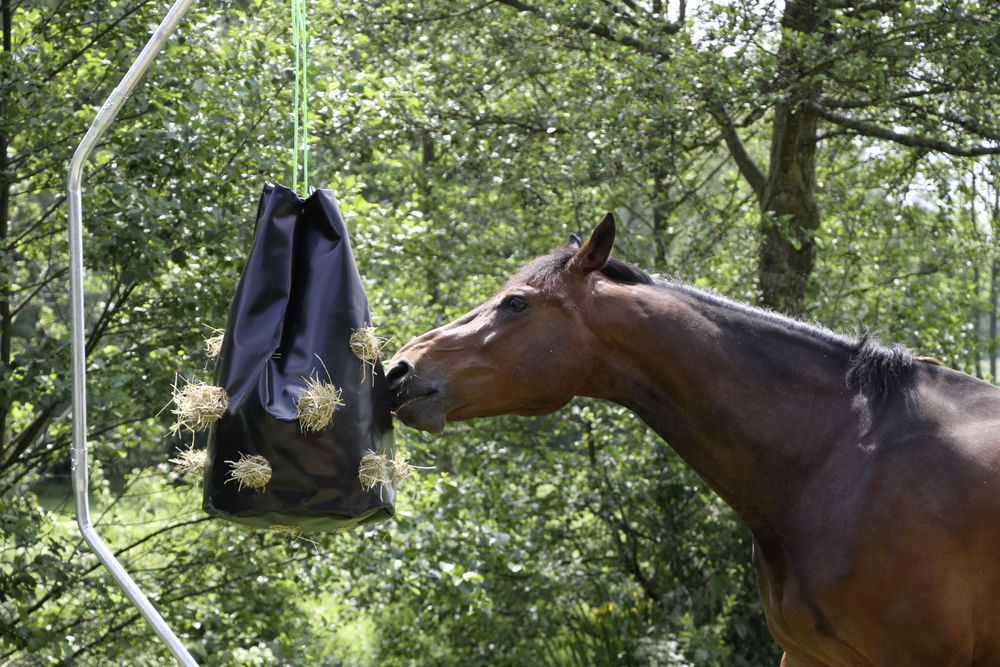 Hay Bag