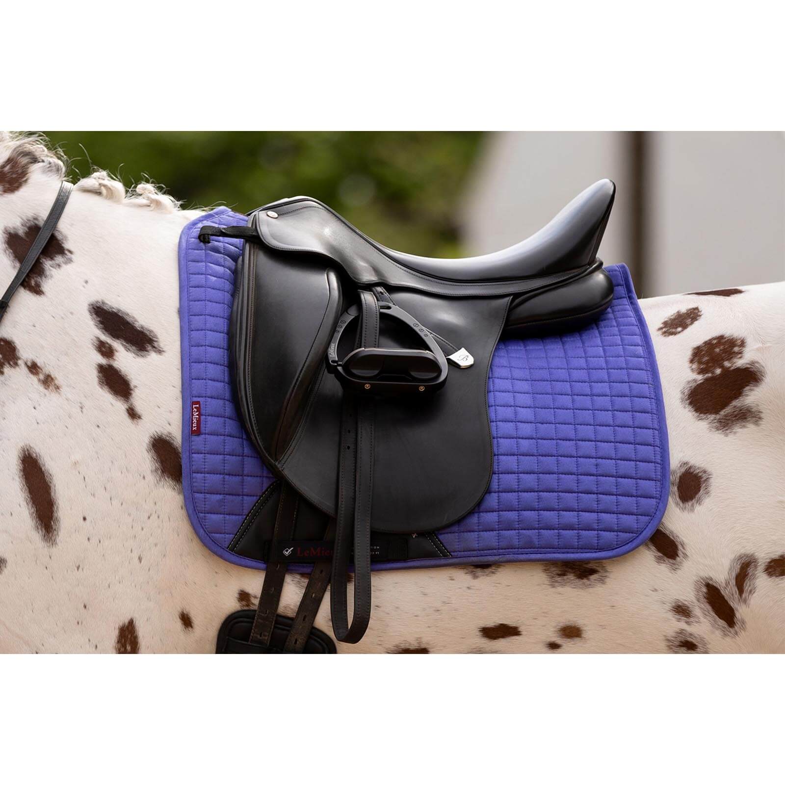 Schabracke Dressur Luxury Dressage Square Dressurschabracke