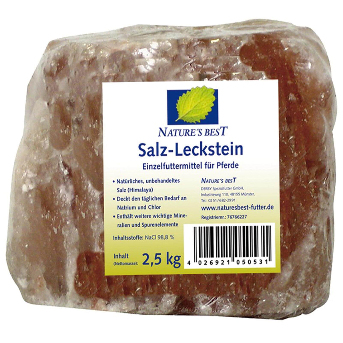 Salz-Leckstein Himalaya