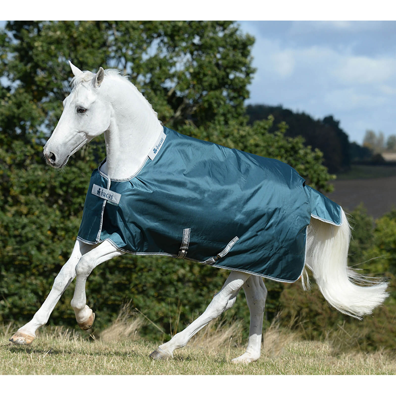 Outdoordecke 300g Greenline Turnout Weidedecke