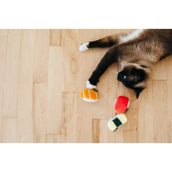 Katzenspielzeug Food