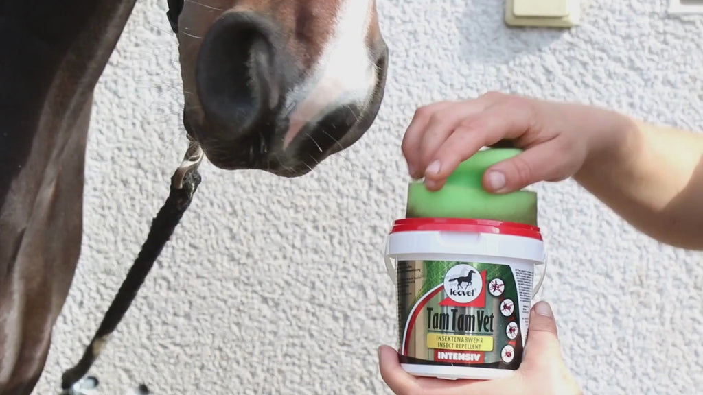 Video: Leovet | Tam Tam Vet Intensiv Gel