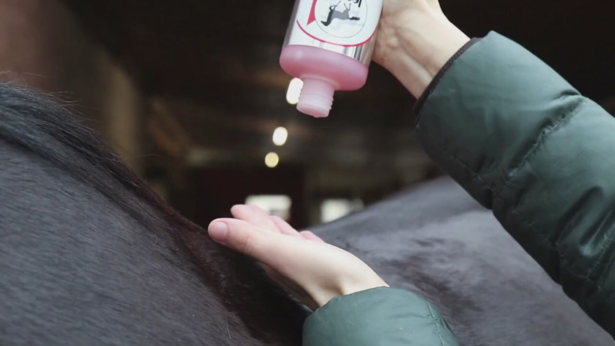 Video: Leovet | Thermo Massage