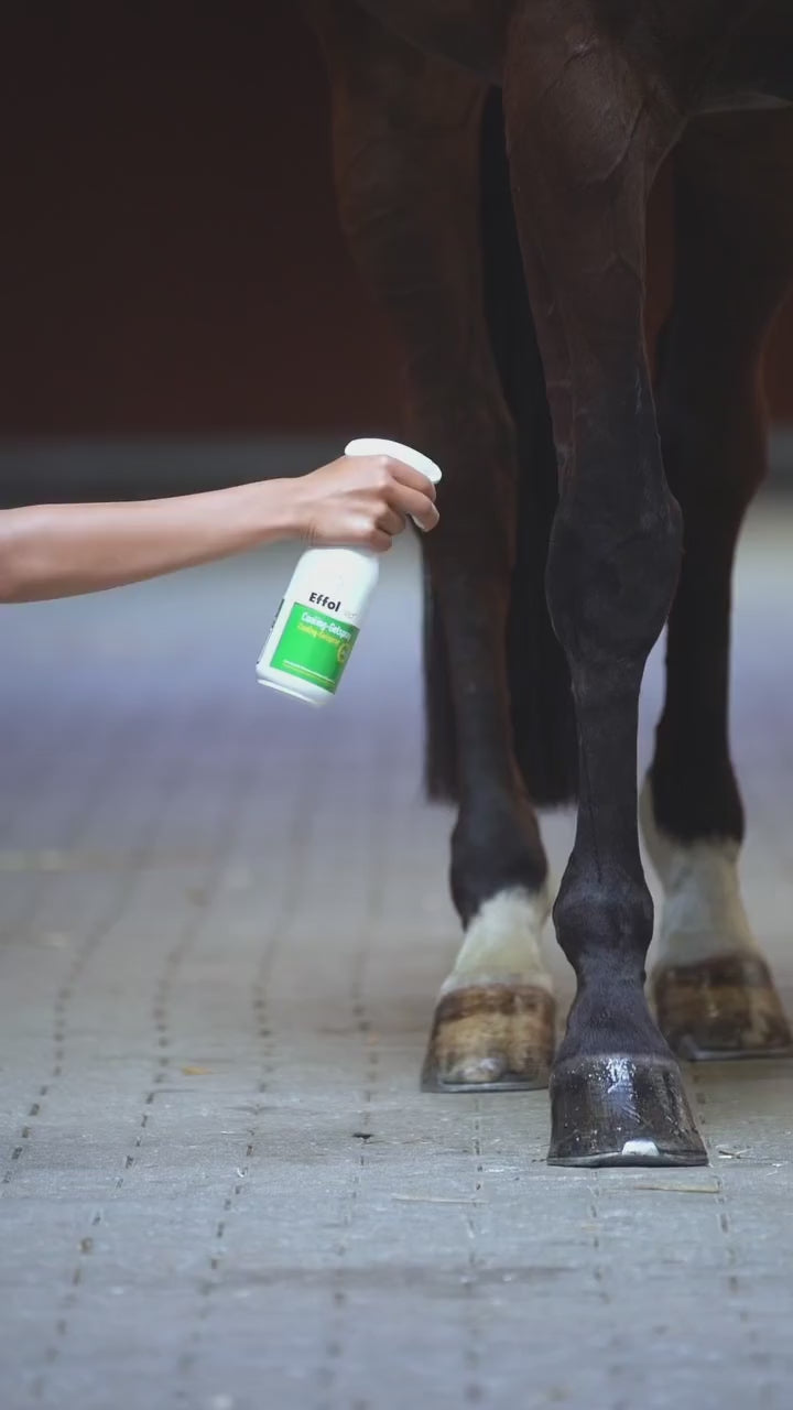 Killende Gel-Spray