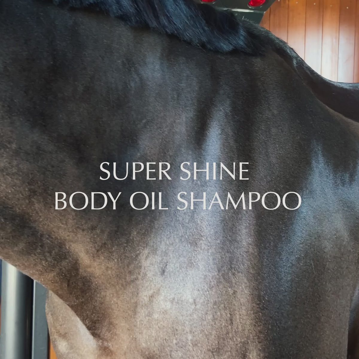 Champô para cavalos Super Shine Body Oil