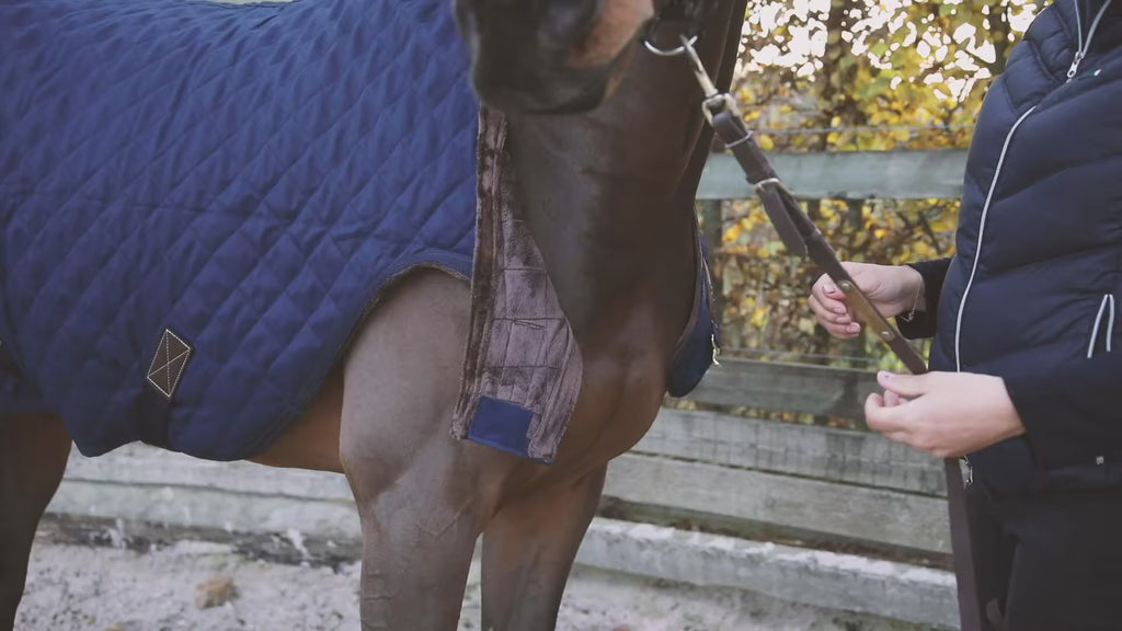 Video: Kentucky | Walker Rug