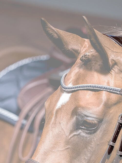 Genickstück Snaffle Relief D™