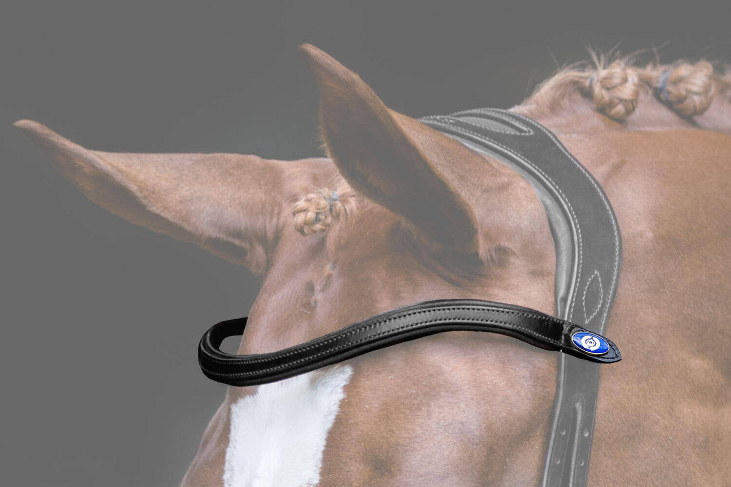 Stirnband U-Shape Stirnriemen Trense