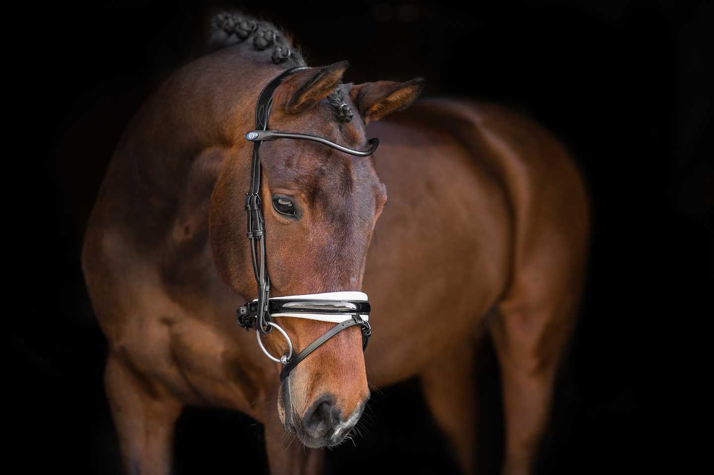 Trense Boss Lack