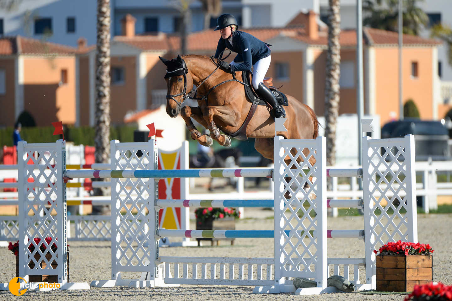 Trense Jump Off
