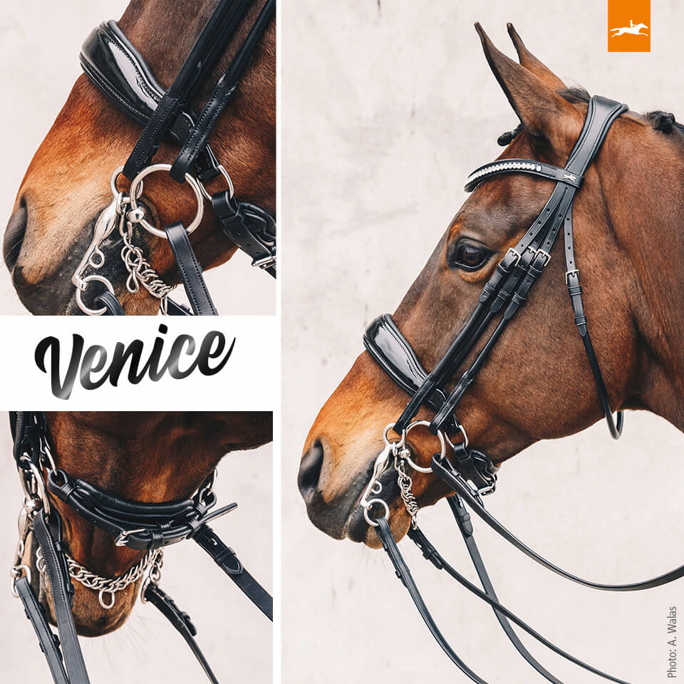 Kandare Venice