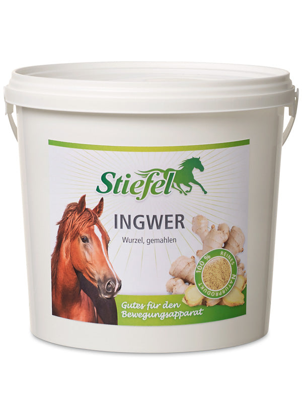 Ingwer Zusatzfutter Ergänzungsfuttermittel