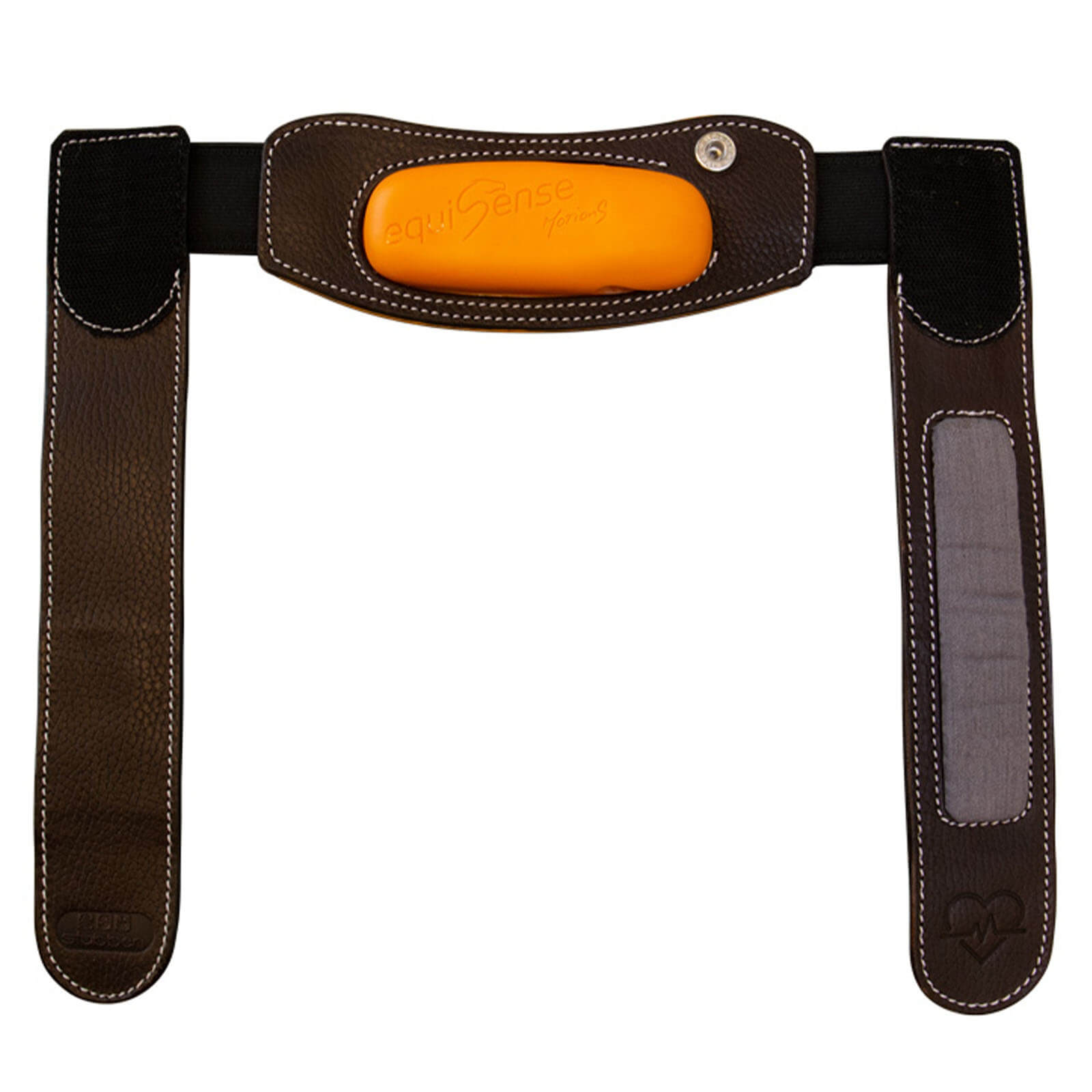 Halterung Equisense Motion S