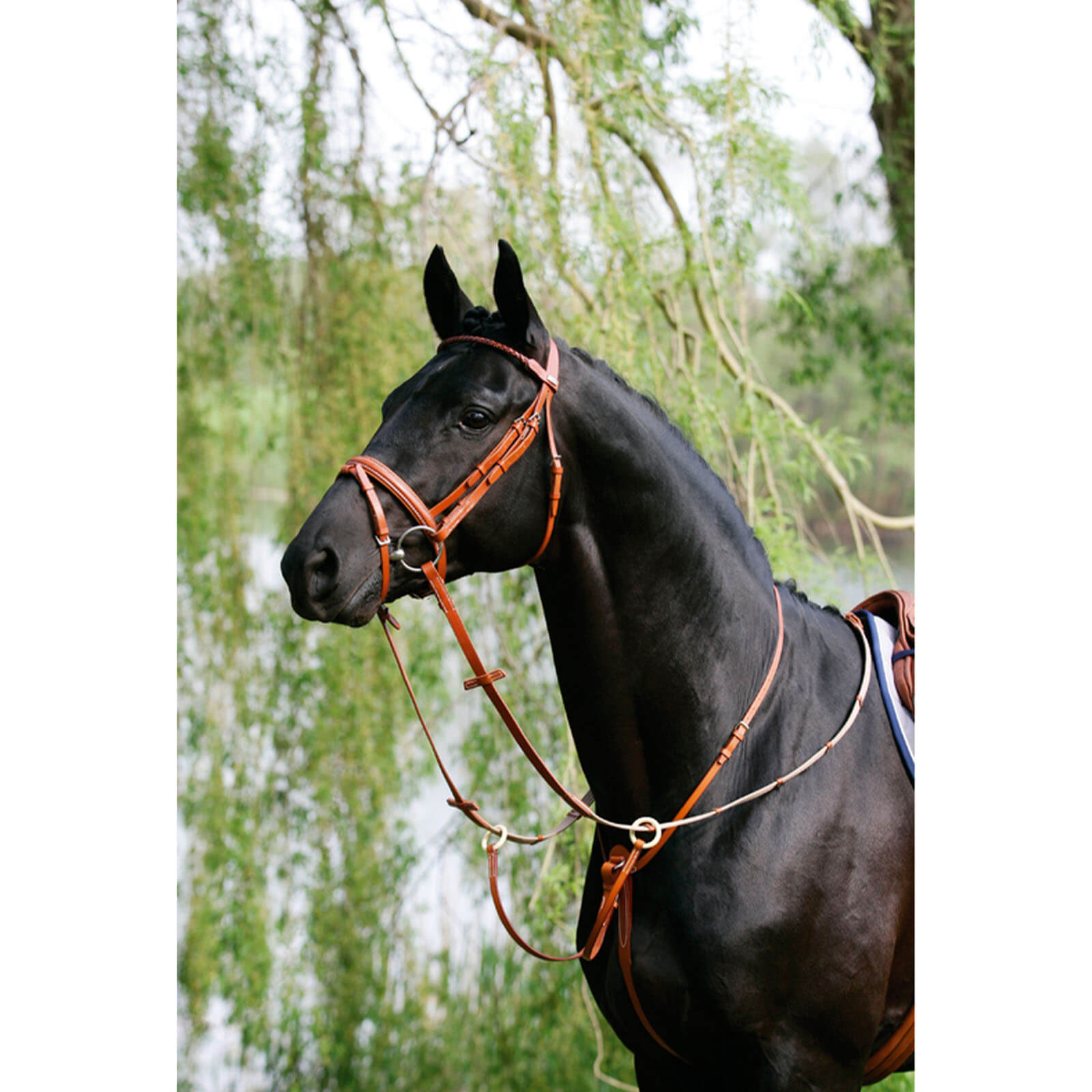 Ringmartingal