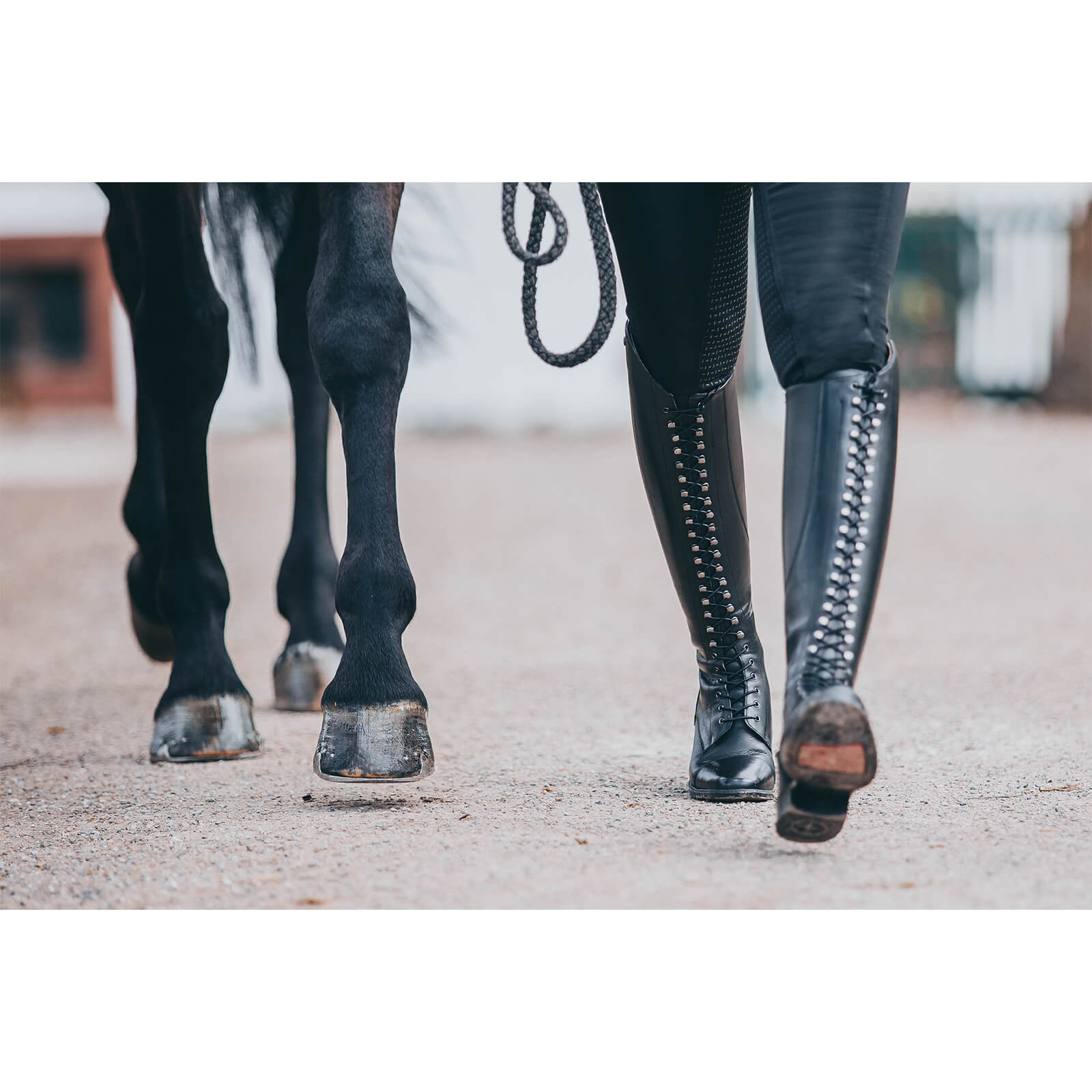 Reitstiefel Legacy Venado