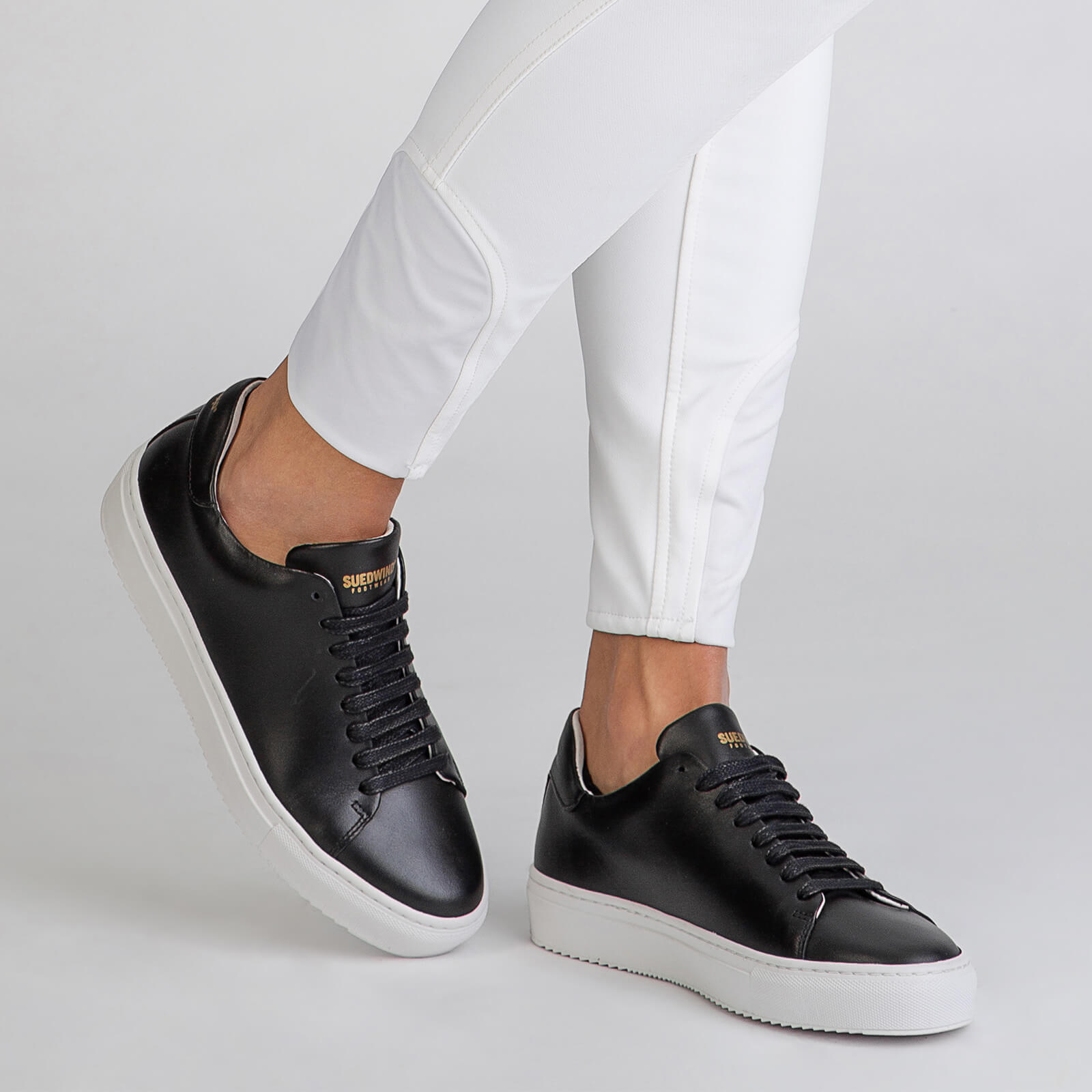 Sneaker Ashton