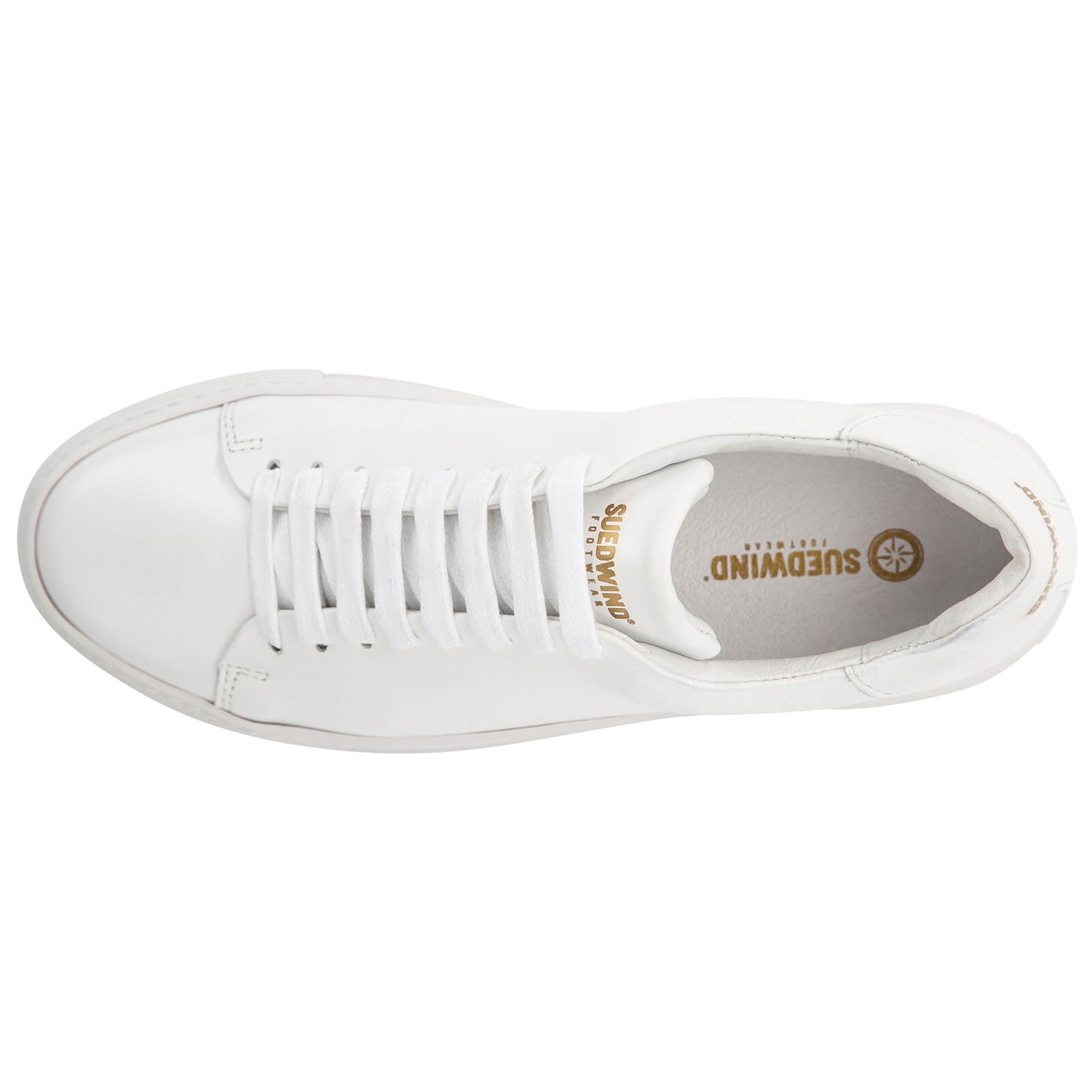 Sneaker Ashton
