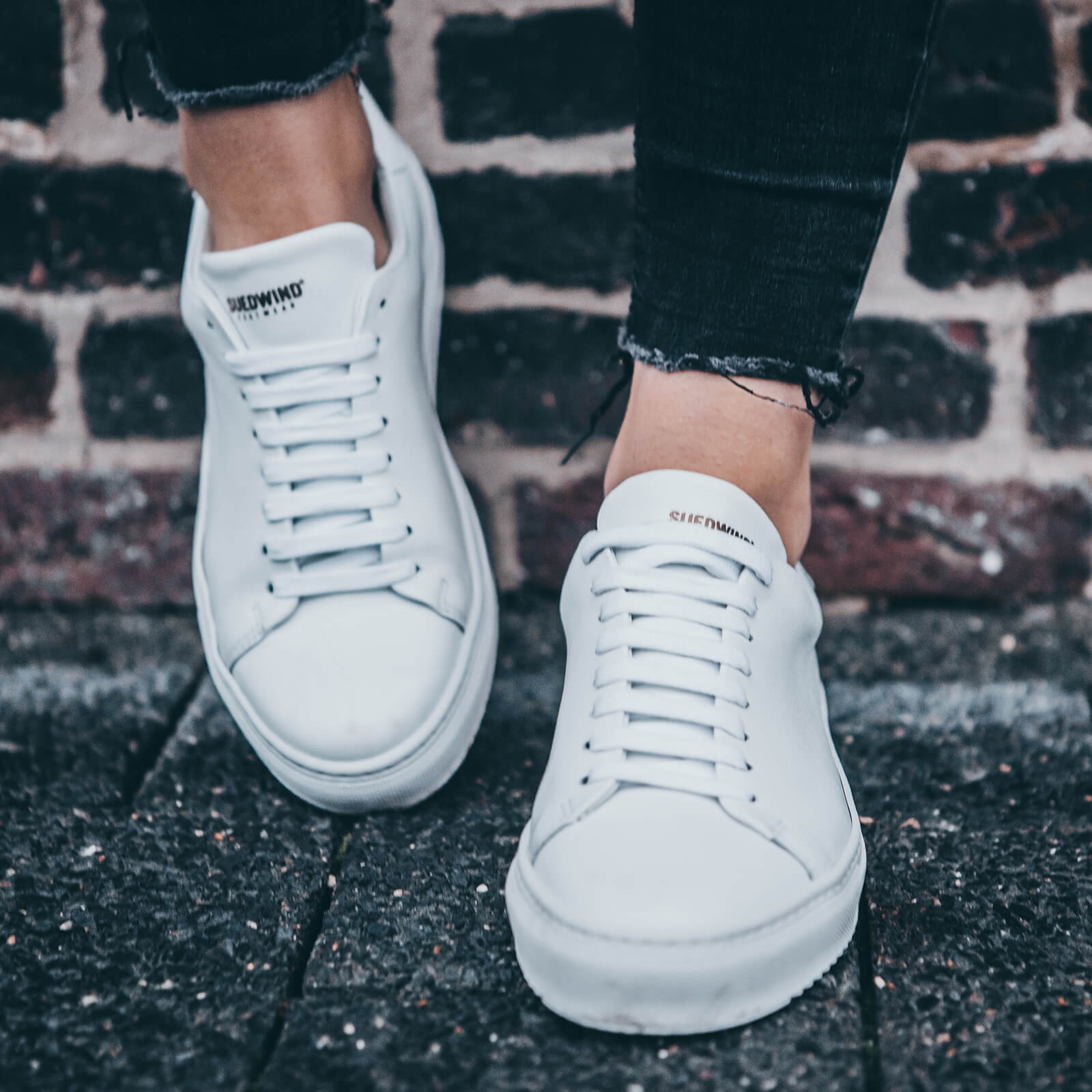 Sneaker Ashton