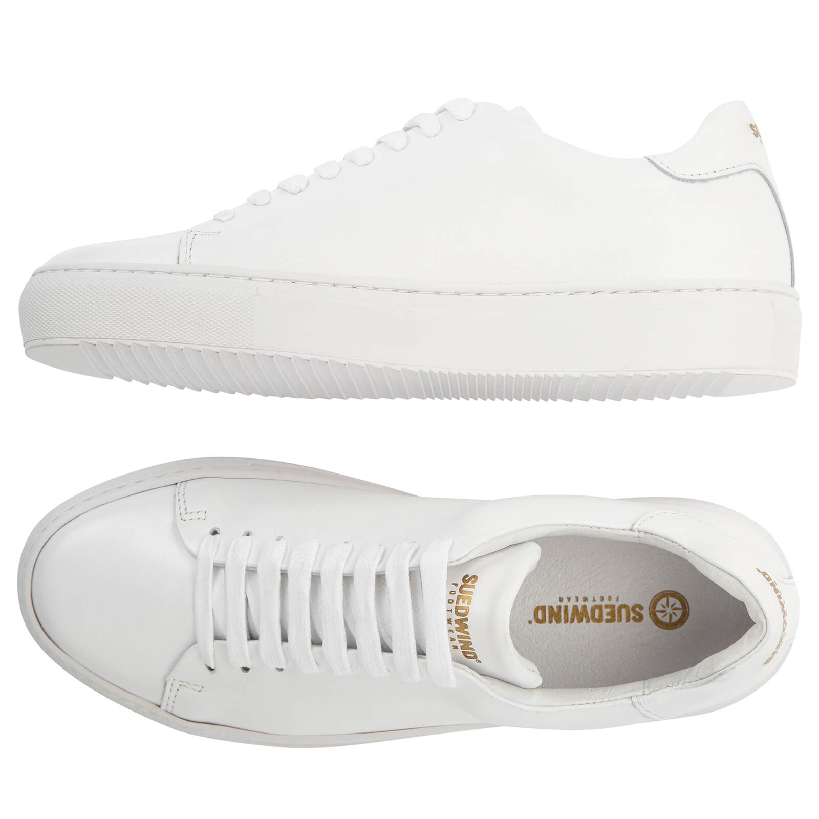 Sneaker Ashton