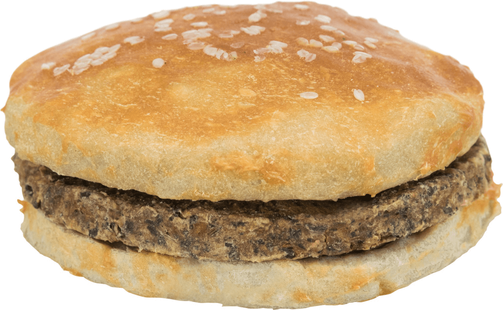 Hundesnack Chicken Burger