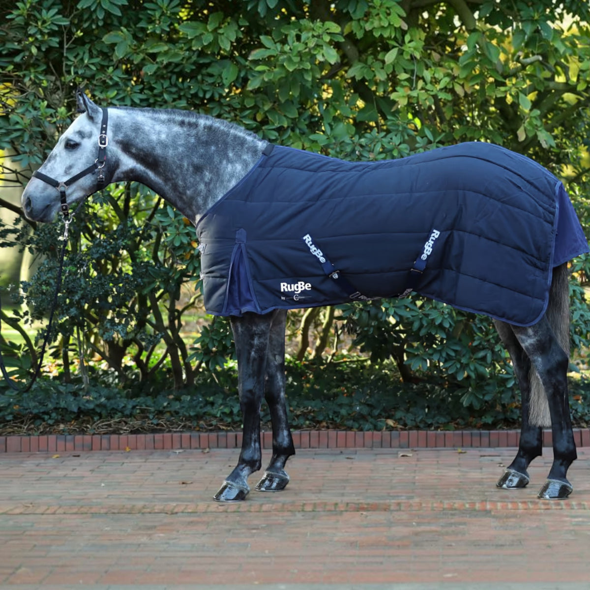 Stalldecke RugBe Indoor Covalliero Pferdedecke