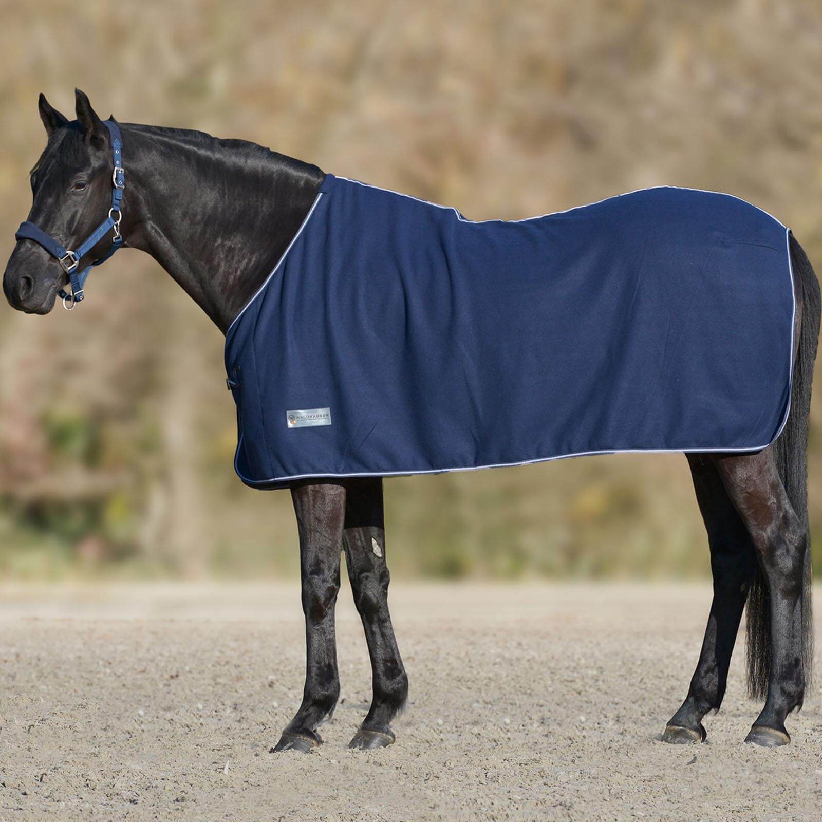 Abschwitzdecke Economic Fleece