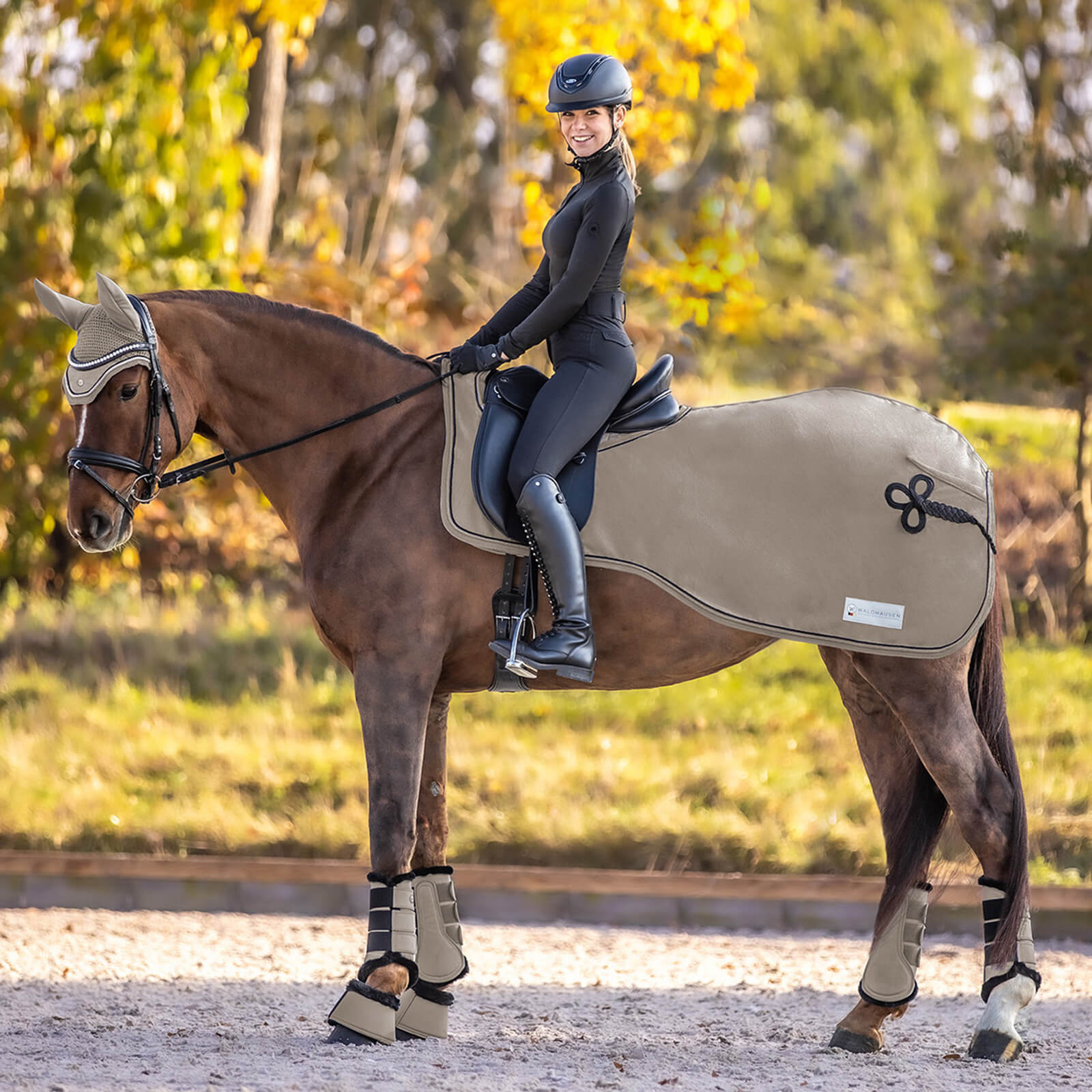 Ausreitdecke Pegasus