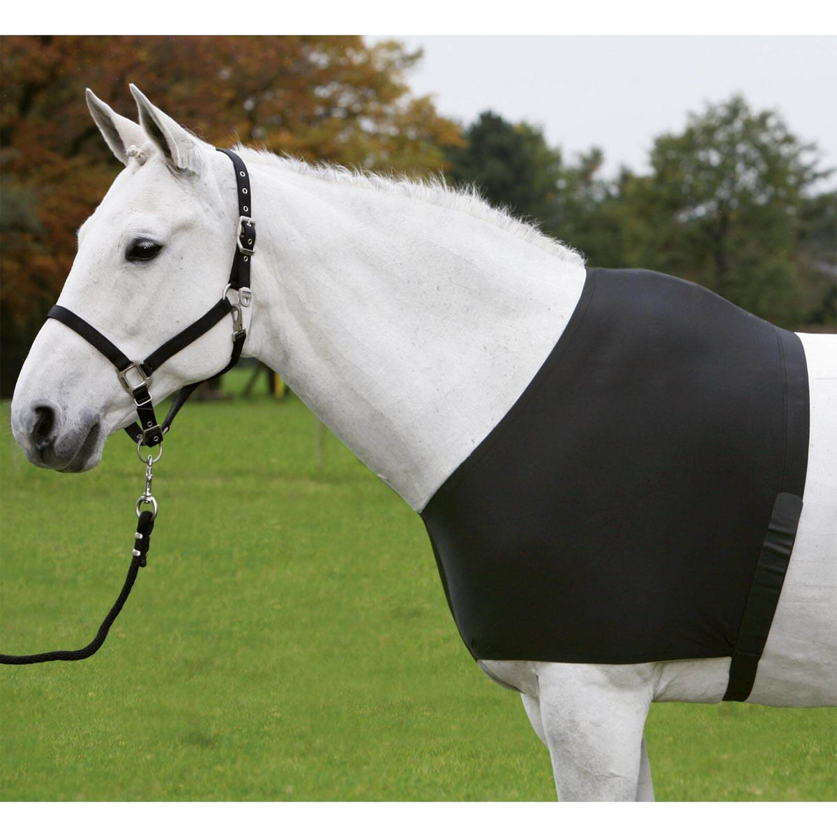 Brustschutz Comfort Vest