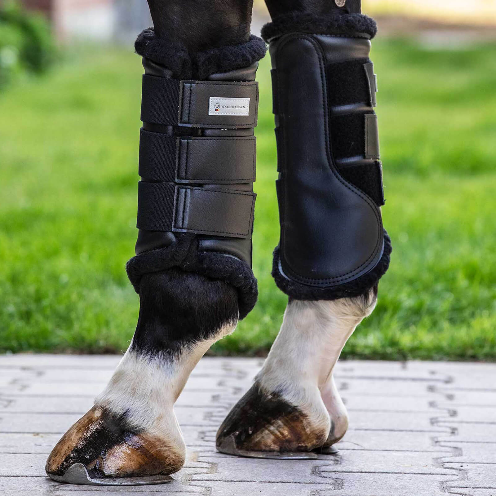 Gamasche Dressur Soft