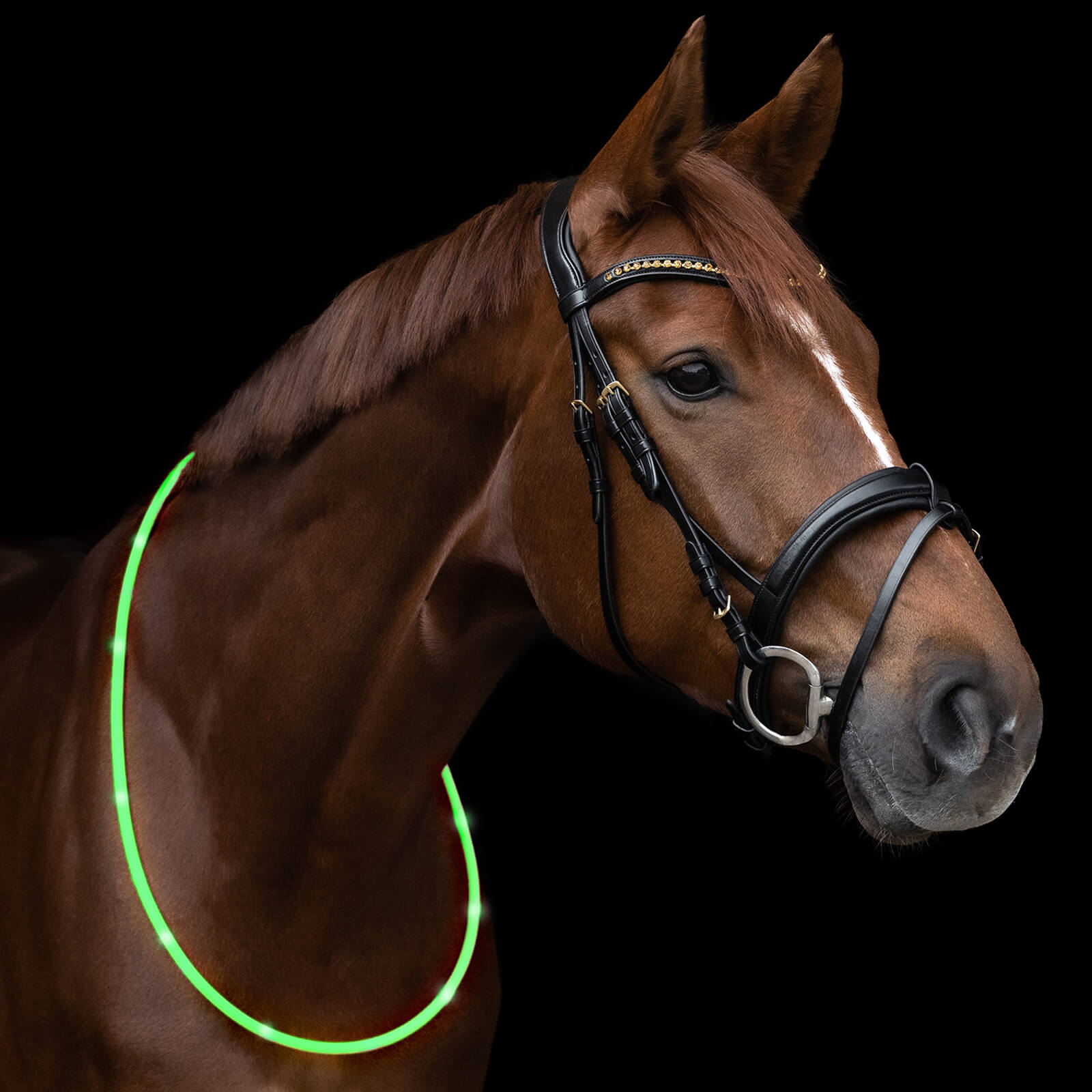 Halsriemen LED Leuchtring
