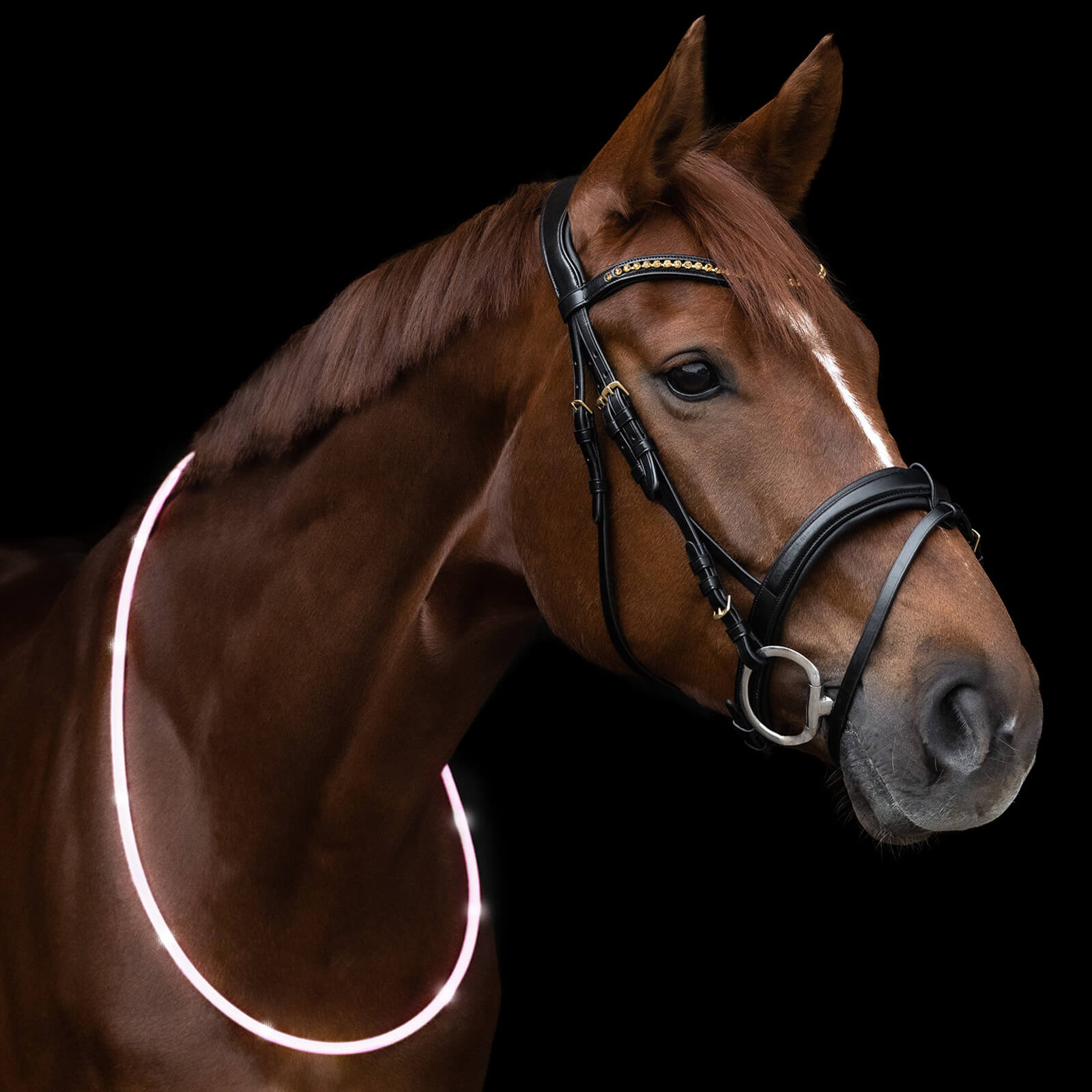 Halsriemen LED Leuchtring