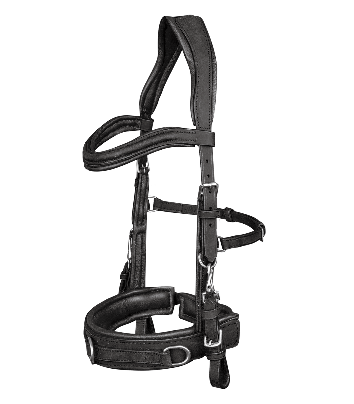 Lederkappzaum Anatomic