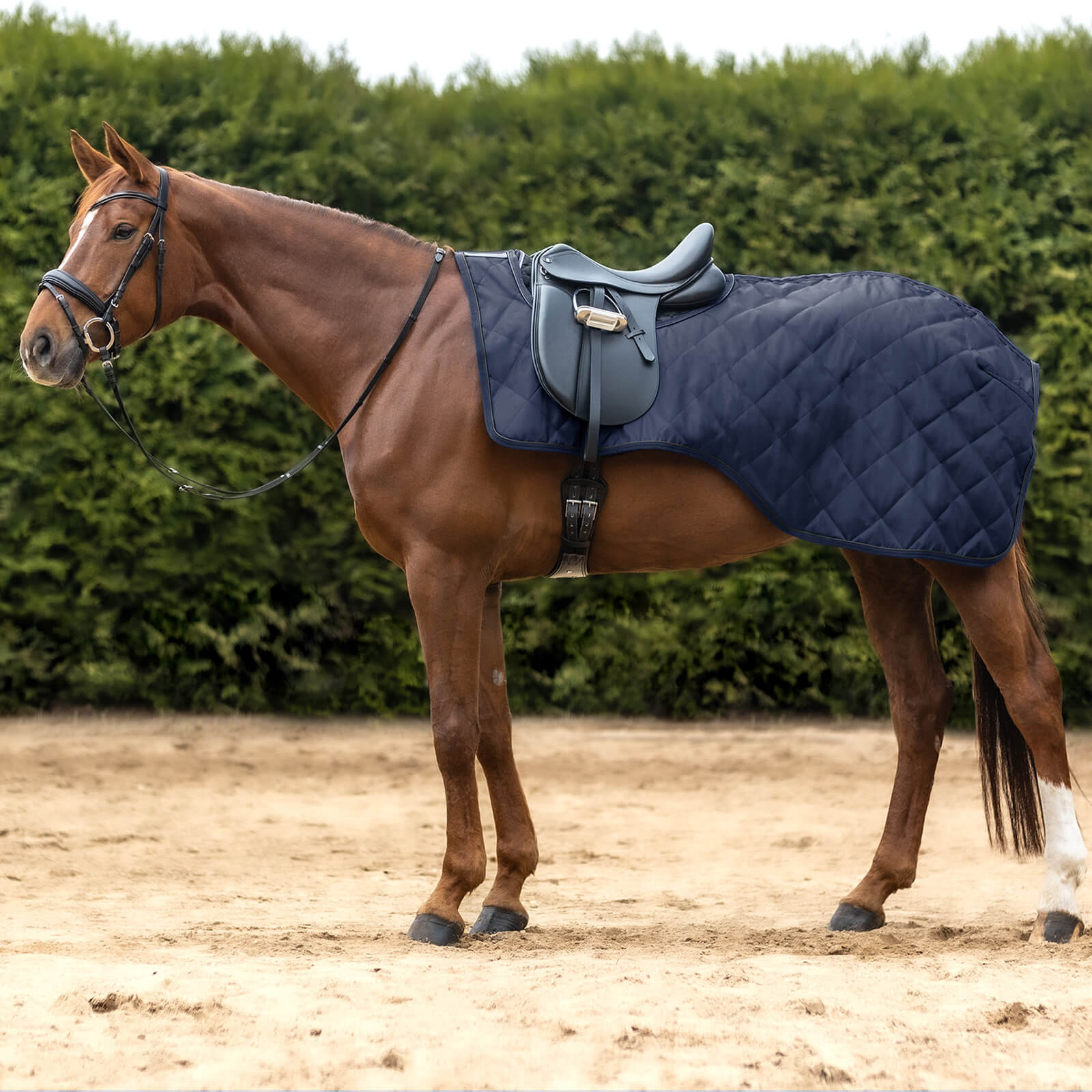 Ausreitdecke 50g Exclusive Nierendecke