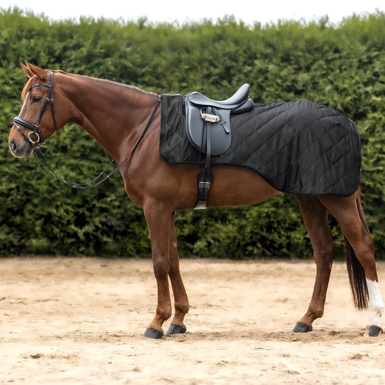 Ausreitdecke 50g Exclusive Nierendecke