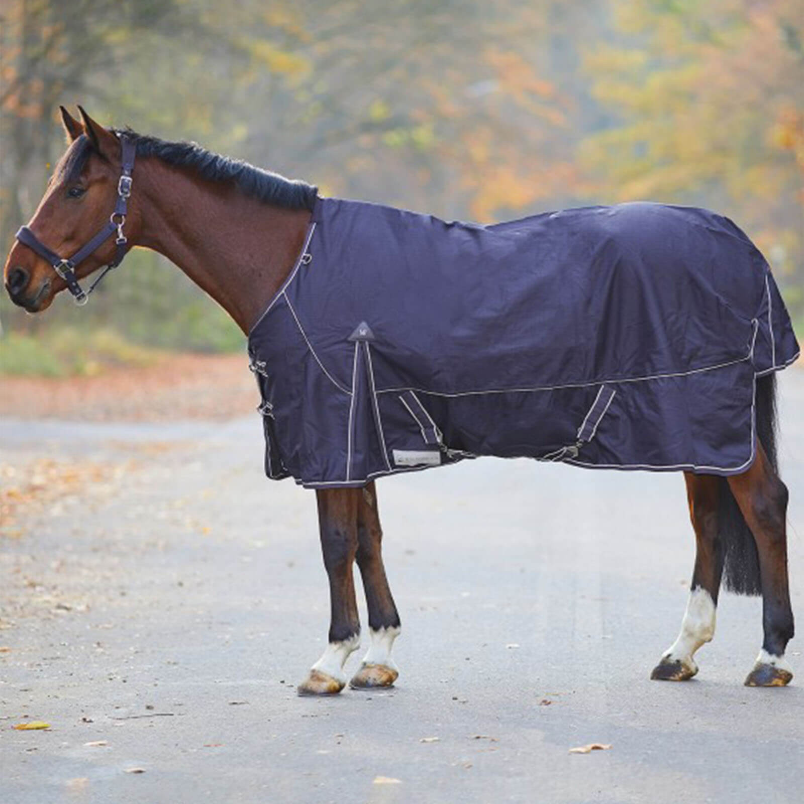 Outdoordecke 200g Comfort Weidedecke