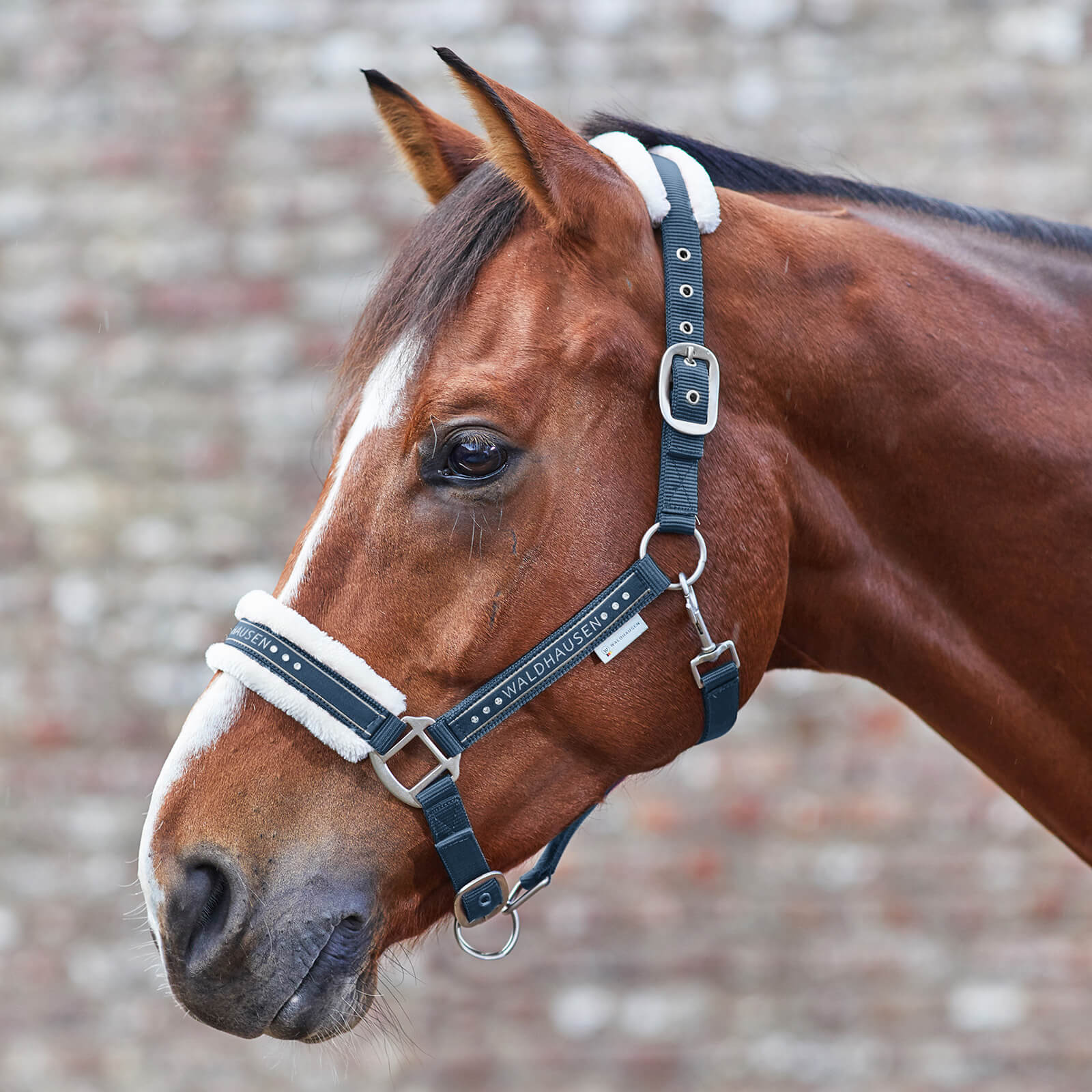 Halfter Elegant Kunstfell Pferdehalfter